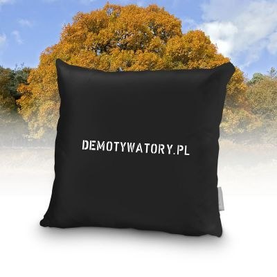 Demotywująca poduszka - prawdziwa miłość (anim) Demotywująca poduszka - prawdziwa miłość (anim)