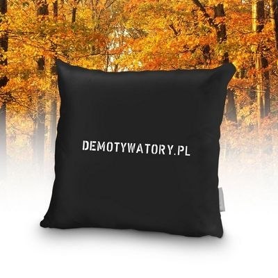 Demotywująca poduszka - prawdziwa miłość (anim) Demotywująca poduszka - prawdziwa miłość (anim)