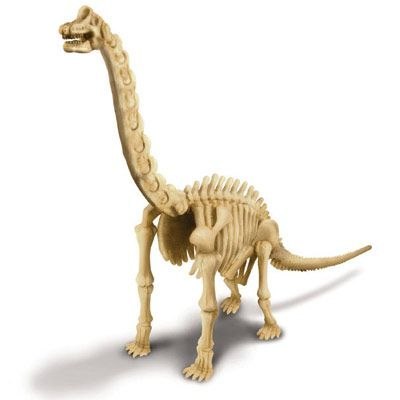 Wykopaliska - Brachiozaur Wykopaliska - Brachiozaur