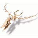 Wykopaliska - Pterozaur Wykopaliska - Pterozaur