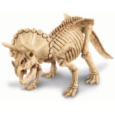 Wykopaliska - Triceratops Wykopaliska - Triceratops