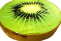 Poduszka Dekoracyjna siedzisko - KIWI Poduszka Dekoracyjna siedzisko - KIWI