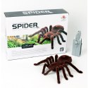 Pająk TARANTULA Zdalnie Sterowany + PILOT Pająk TARANTULA Zdalnie Sterowany + PILOT