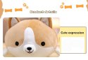Poduszka Dekoracyjna Corgie piesek 30cm Poduszka Dekoracyjna Corgie piesek 30cm