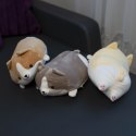 Poduszka Dekoracyjna Corgie piesek 50cm Poduszka Dekoracyjna Corgie piesek 50cm