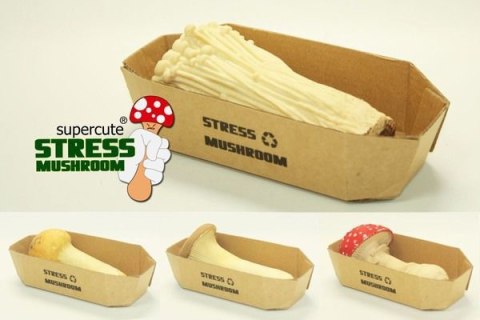 Antystresowy grzyb - ENOKI Antystresowy grzyb - ENOKI