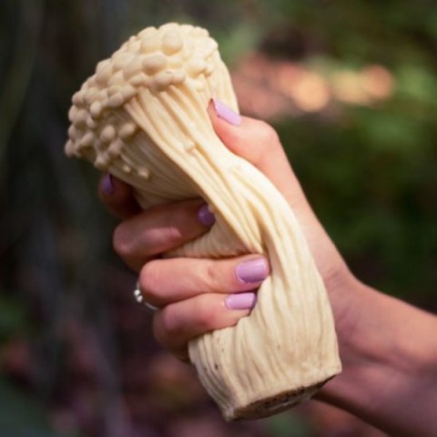 Antystresowy grzyb - ENOKI Antystresowy grzyb - ENOKI