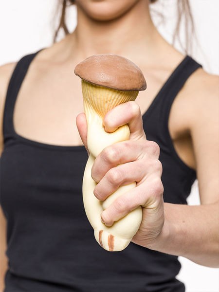 Antystresowy grzyb - MATSUTAKE Antystresowy grzyb - MATSUTAKE