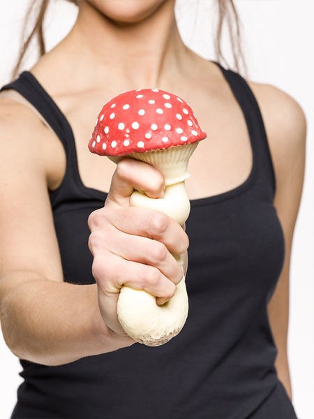 Antystresowy grzyb - MUCHOMOR Antystresowy grzyb - MUCHOMOR