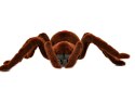 Pająk TARANTULA Zdalnie Sterowany + PILOT Pająk TARANTULA Zdalnie Sterowany + PILOT