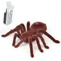 Pająk TARANTULA Zdalnie Sterowany + PILOT Pająk TARANTULA Zdalnie Sterowany + PILOT