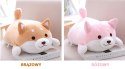 Poduszka Dekoracyjna Shiba piesek 36cm Poduszka Dekoracyjna Shiba piesek 36cm