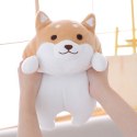 Poduszka Dekoracyjna Shiba piesek 36cm Poduszka Dekoracyjna Shiba piesek 36cm