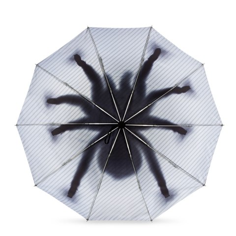 Taranturella - Odwrócony Parasol Pająk Taranturella - Odwrócony Parasol Pająk