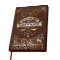 Notes Quidditch - HARRY POTTER Notes Quidditch - HARRY POTTER