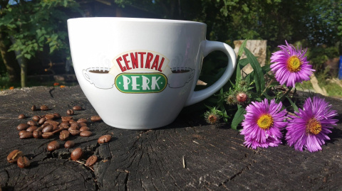 Filiżanka do kawy Przyjaciele Central Perk (biała) Filiżanka do kawy Przyjaciele Central Perk (biała)