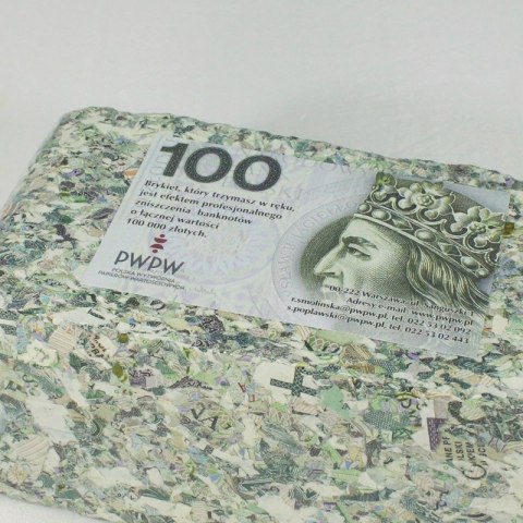 Brykiet z pieniędzy - 100 zł Brykiet z pieniędzy - 100 zł